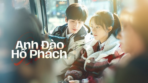 Anh Đào Hổ Phách - Our Generation