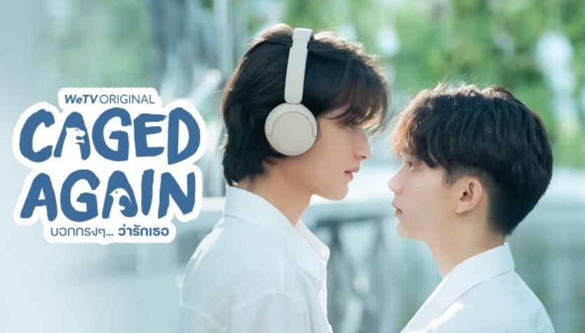 Dũng Cảm Nói Yêu Người - Caged Again