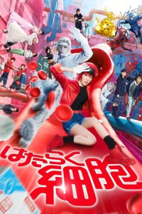 Khi tế bào làm việc - Cells at Work (2024)