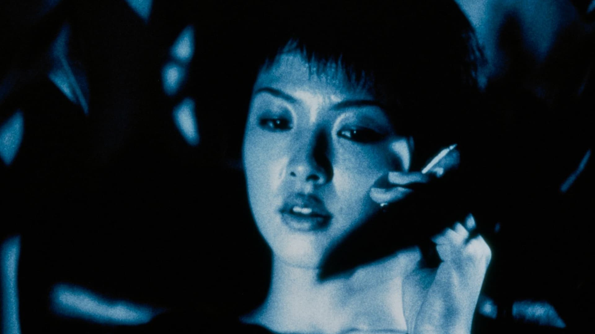 Rắn Tháng Sáu - A Snake of June