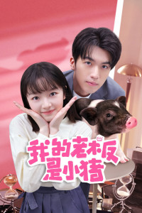 Sếp Của Tôi Là Chú Lợn Nhỏ - My Piggy Boss (2024) Sếp Của Tôi Là Chú Lợn Nhỏ - My Piggy Boss (2024)