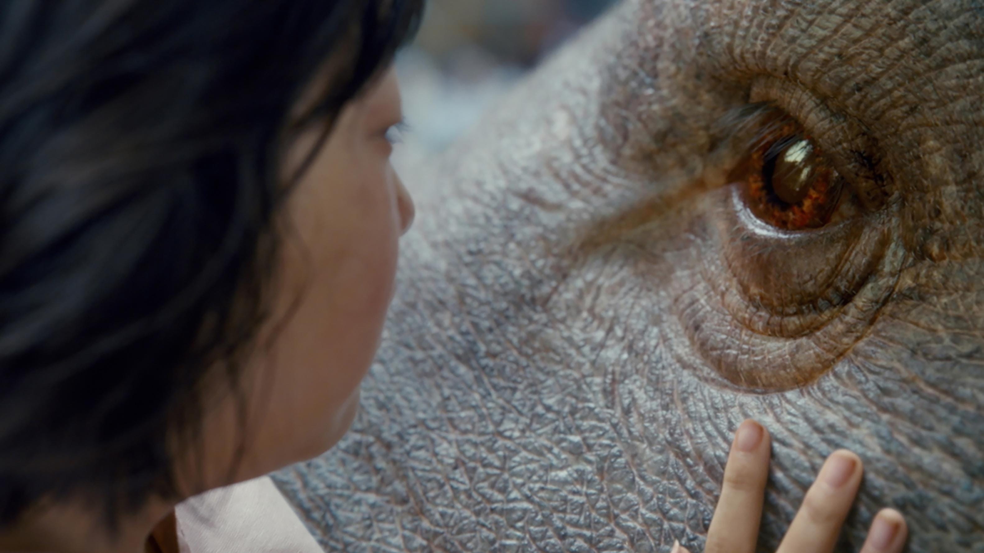 Siêu lợn Okja - Okja