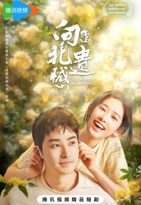 Tiếc Nuối Của Hướng Bắc - Xiangbei Regret (2024)
