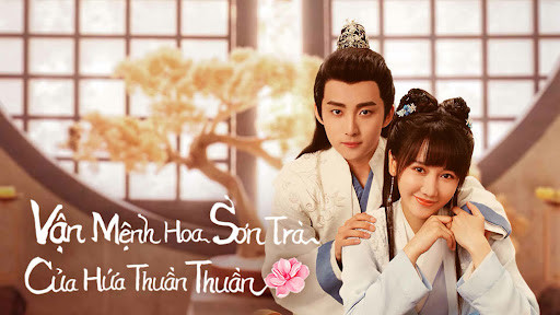 Vận Mệnh Hoa Sơn Trà Của Hứa Thuần Thuần - A Camellia Romance